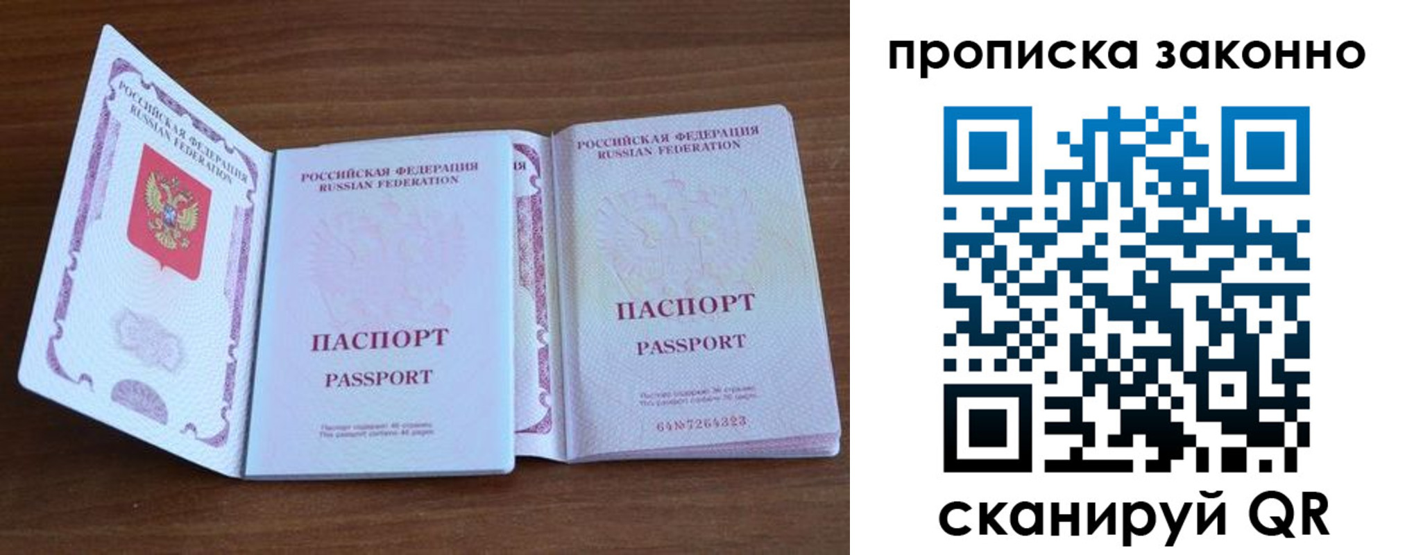 прописка поиск в Белореченске